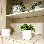 Sea Garden Lägenhet Varna